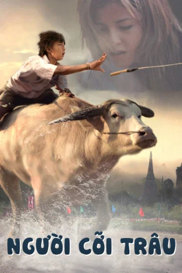 Người Cỡi Trâu Buffalo Rider